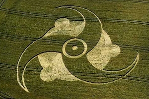 Crop circle