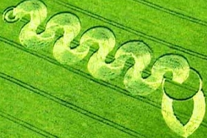 Crop circle 2